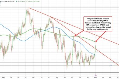 Crude oil futures settles higher at $73.96